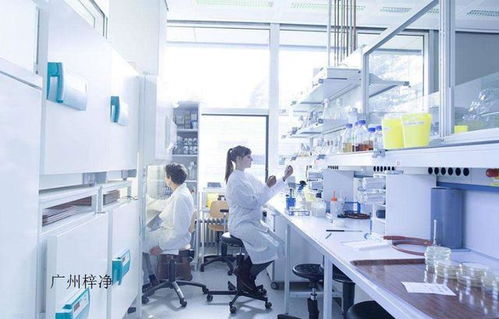食品 醫(yī)療 醫(yī)藥廠恒溫恒濕無塵潔凈工程的凈化要求