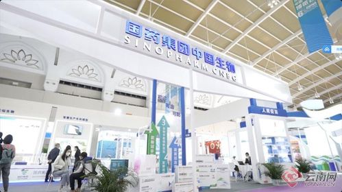 智慧引領，科技賦能 記者帶你解鎖南博會新體驗——恒特發展焦點