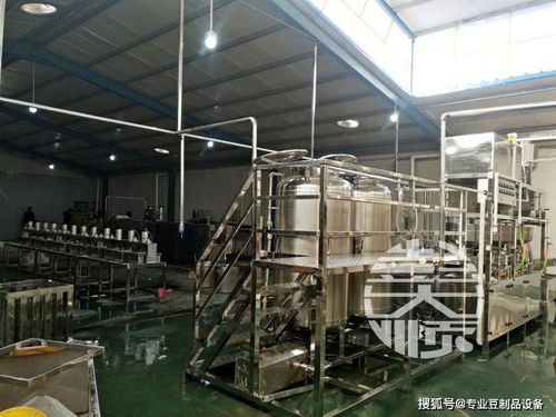 豆腐皮生產線設備簡介及性能優勢說明